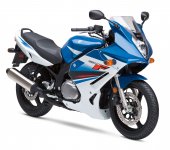 2010 Suzuki GS500F photo